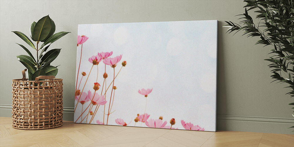 Flower background with pink wild flowers against the background of the sky, 