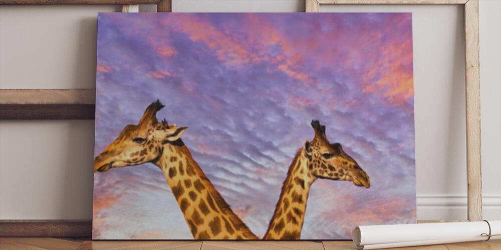 Giraffes in the Tsavo East, 