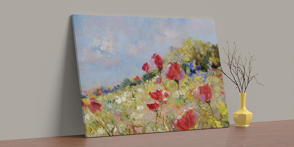 Painted poppies on summer meadow, 