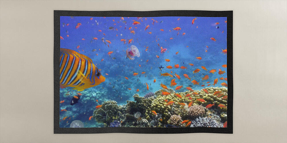 Coral Reef and Tropical Fish in the Red Sea, 