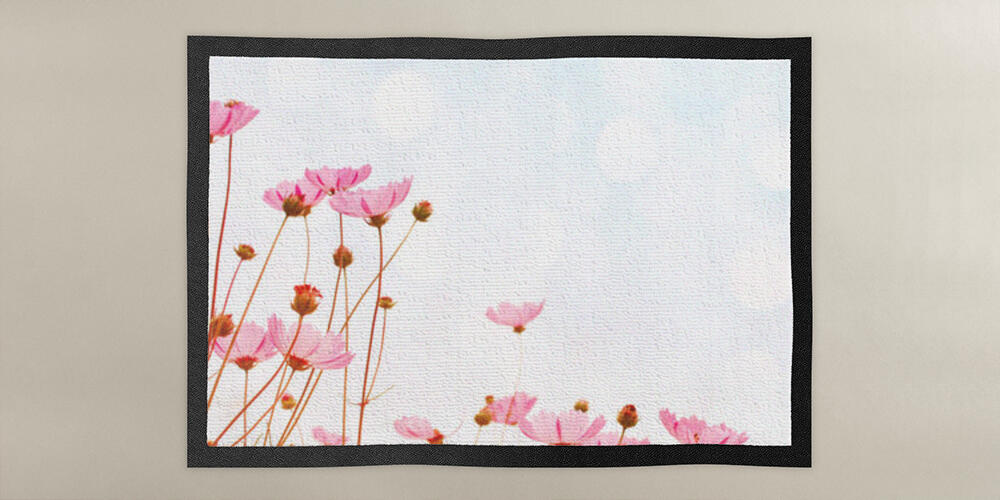 Flower background with pink wild flowers against the background of the sky, 