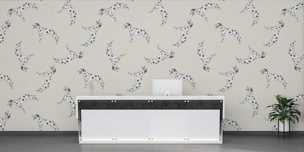 dalmata, Reception