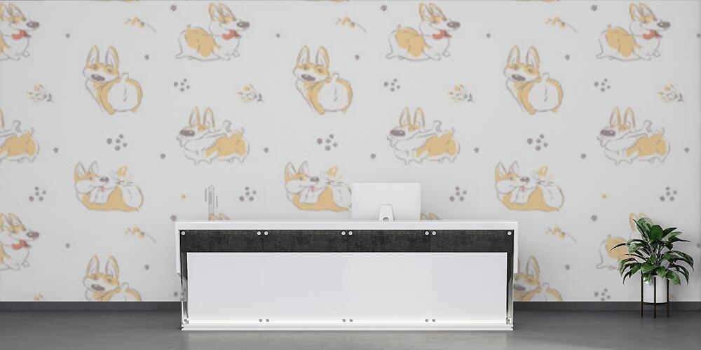 Allegro Corgi, Reception