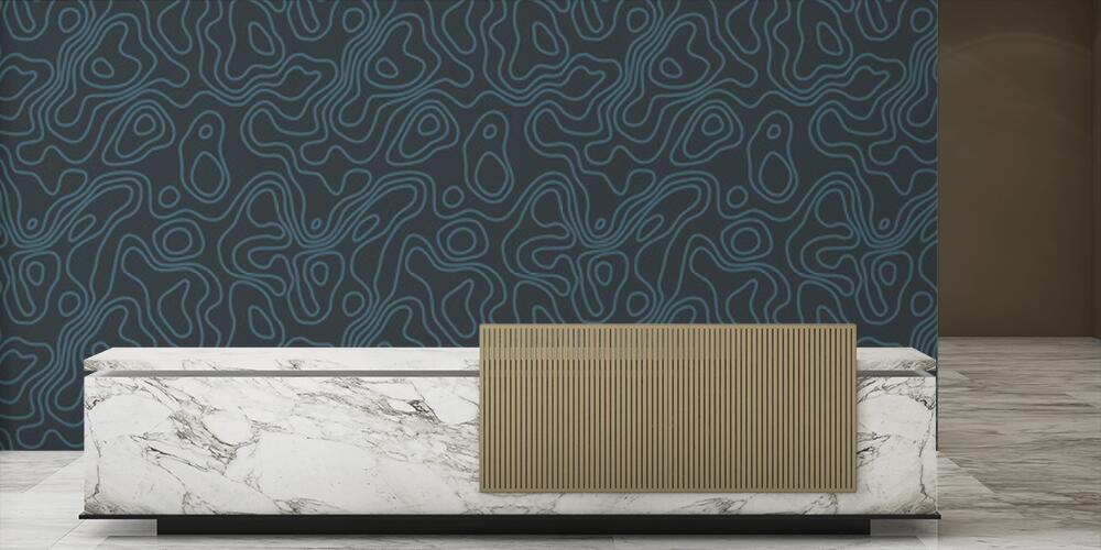 Mappa Contour, Reception
